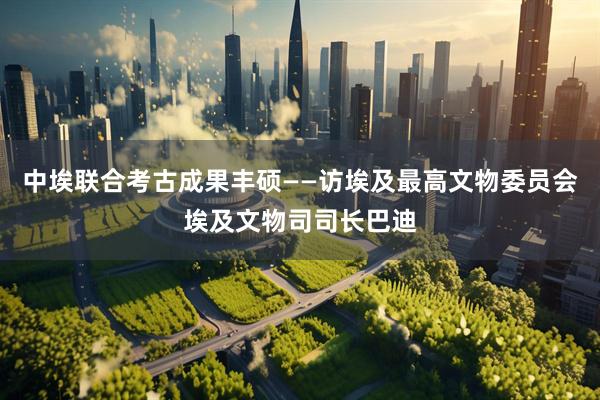 中埃联合考古成果丰硕——访埃及最高文物委员会埃及文物司司长巴迪