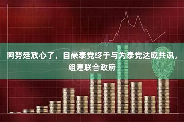 阿努廷放心了，自豪泰党终于与为泰党达成共识，组建联合政府