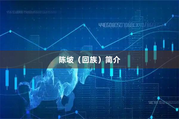 陈坡（回族）简介