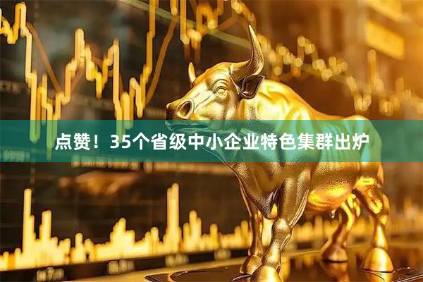 点赞！35个省级中小企业特色集群出炉