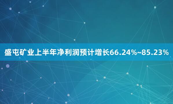 盛屯矿业上半年净利润预计增长66.24%~85.23%