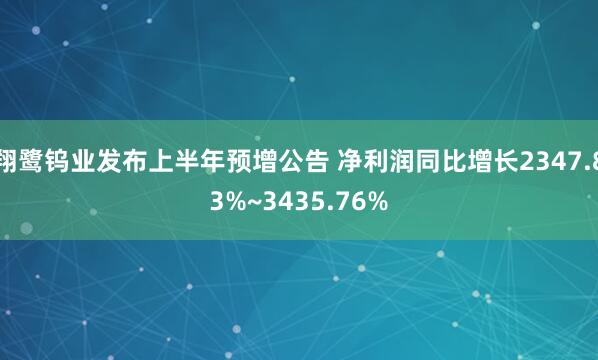 翔鹭钨业发布上半年预增公告 净利润同比增长2347.83%~3435.76%